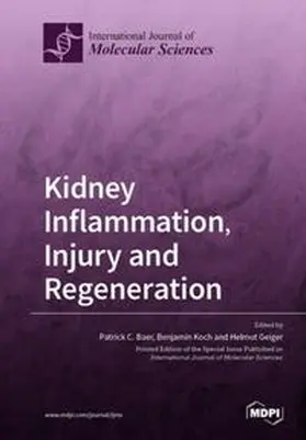 Baer / Koch / Geiger |  Kidney Inflammation, Injury and Regeneration | Buch |  Sack Fachmedien
