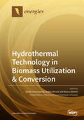Chiaramonti / Kruse / Klemm |  Hydrothermal Technology in Biomass Utilization & Conversion | Buch |  Sack Fachmedien