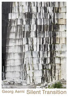 Olonetzky / Pfrunder / von Fischer |  Georg Aerni - Silent Transition | Buch |  Sack Fachmedien