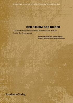 Fleckner / Steinkamp / Ziegler | Der Sturm der Bilder | Buch | 978-3-05-004903-8 | sack.de