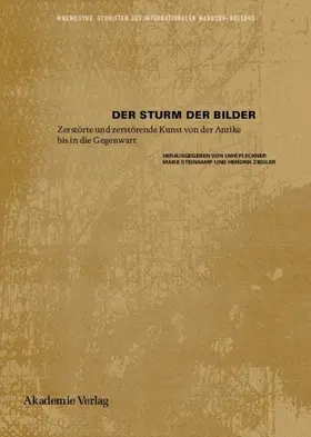 Fleckner / Steinkamp / Ziegler | Der Sturm der Bilder | Buch | 978-3-05-004903-8 | sack.de