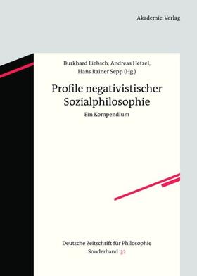 Liebsch / Sepp / Hetzel | Profile negativistischer Sozialphilosophie | Buch | 978-3-05-005193-2 | sack.de