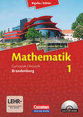 Bigalke / Köhler / Kuschnerow |  Mathematik Sekundarstufe II - Brandenburg - Neubearbeitung 2012 / Band 1 - Schülerbuch mit CD-ROM | Buch |  Sack Fachmedien