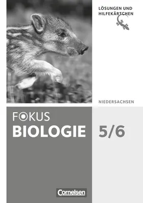 Budde / Hörenberg / Schulz |  Fokus Biologie 5./6. Schuljahr Lösungen. Niedersachsen | Buch |  Sack Fachmedien