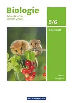 Blümel / Lepel / Müller |  Biologie Ausgabe Volk und Wissen. Sekundarschule Sachsen-Anhalt 5./6. Schuljahr. Arbeitsheft | Buch |  Sack Fachmedien