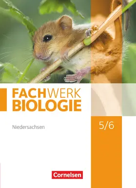 Hampl / Ritter / Herrmann |  Fachwerk Biologie 5./6. Schuljahr. Schülerbuch Niedersachsen | Buch |  Sack Fachmedien