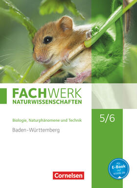 Baur / Ritter / Dörflinger |  Fachwerk Naturwissenschaften 5./6. Schuljahr. Schülerbuch Baden-Württemberg | Buch |  Sack Fachmedien