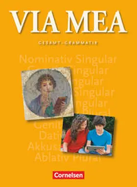 Belde / Kühne / Efing |  Via mea Gesamtband: 1.-4. Lernjahr. Grammatik | Buch |  Sack Fachmedien