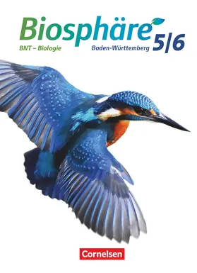 Auerbach / Bils / Felch |  Biosphäre Sekundarstufe I. 5./6. Schuljahr. BNT - Biologie. Schülerbuch Baden-Württemberg | Buch |  Sack Fachmedien