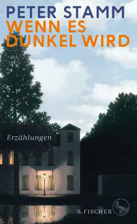 Stamm | Wenn es dunkel wird | Buch | 978-3-10-002226-4 | www.sack.de