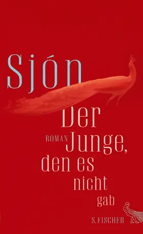 Sjón |  Der Junge, den es nicht gab | Buch |  Sack Fachmedien