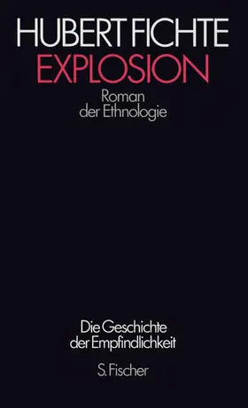 Kay / Fichte |  Die Geschichte der Empfindlichkeit VII. Explosion | Buch |  Sack Fachmedien