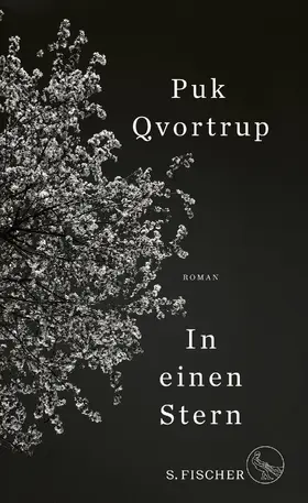 Qvortrup |  In einen Stern | Buch |  Sack Fachmedien