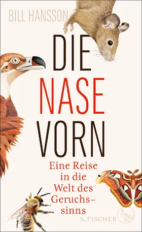 Hansson |  Die Nase vorn | Buch |  Sack Fachmedien