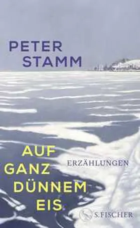 Stamm |  Auf ganz dünnem Eis | Buch |  Sack Fachmedien