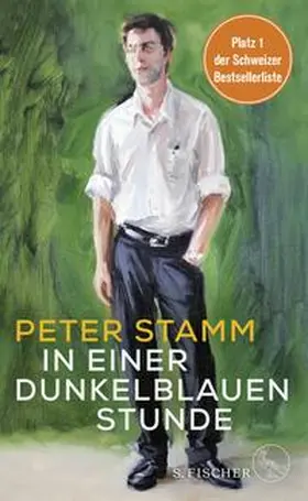 Stamm | In einer dunkelblauen Stunde | Buch | 978-3-10-397128-6 | www.sack.de