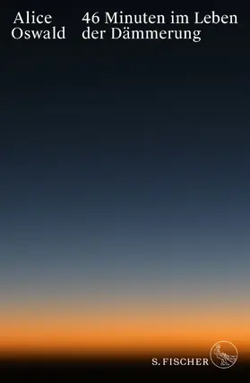 Oswald |  46 Minuten im Leben der Dämmerung | Buch |  Sack Fachmedien