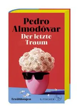 Almodóvar |  Der letzte Traum | Buch |  Sack Fachmedien