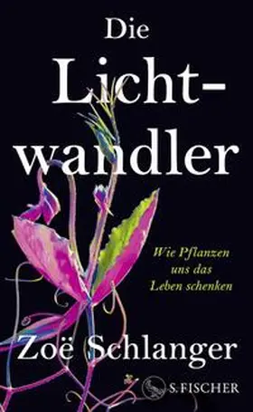 Schlanger |  Die Lichtwandler | Buch |  Sack Fachmedien