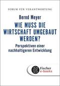 Meyer / Wiegandt |  Wie muss die Wirtschaft umgebaut werden? | eBook | Sack Fachmedien