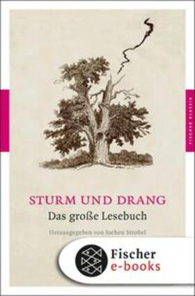 Strobel | Sturm und Drang | E-Book | sack.de