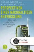 Welzer / Wiegandt |  Perspektiven einer nachhaltigen Entwicklung | eBook | Sack Fachmedien