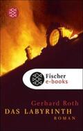 Roth |  Das Labyrinth | eBook | Sack Fachmedien