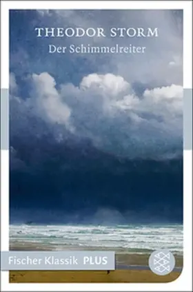 Storm |  Der Schimmelreiter | eBook | Sack Fachmedien