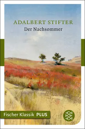 Stifter |  Der Nachsommer | eBook | Sack Fachmedien