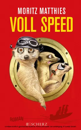 Matthies |  Voll Speed | eBook | Sack Fachmedien
