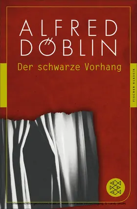 Döblin |  Der schwarze Vorhang | eBook | Sack Fachmedien