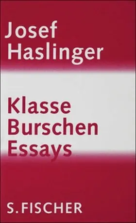 Haslinger |  Klasse Burschen | eBook | Sack Fachmedien