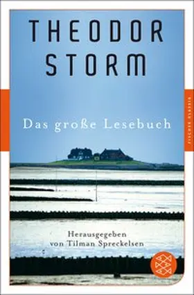 Storm / Spreckelsen |  Das große Lesebuch | eBook | Sack Fachmedien