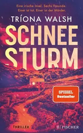Walsh | Schneesturm | E-Book | sack.de