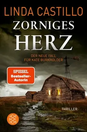 Castillo |  Zorniges Herz | eBook | Sack Fachmedien