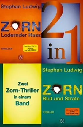 Ludwig |  Lodernder Hass / Blut und Strafe – Zwei Zorn-Thriller in einem Band | eBook | Sack Fachmedien