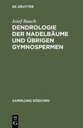 Bauch |  Dendrologie der Nadelbäume und übrigen Gymnospermen | Buch |  Sack Fachmedien