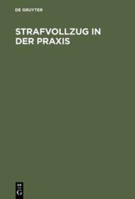 Blau / Schwind | Strafvollzug in der Praxis | Buch | 978-3-11-010906-1 | sack.de