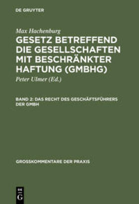 Stein / Mertens | Das Recht des Geschäftsführers der GmbH | Buch | 978-3-11-015550-1 | sack.de