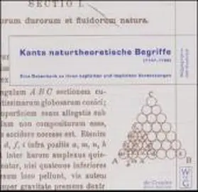 Lefèvre / Wunderlich |  Kants naturtheoretische Begriffe | Sonstiges |  Sack Fachmedien
