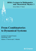 Mitschi / Fauvet |  From Combinatorics to Dynamical Systems | Buch |  Sack Fachmedien