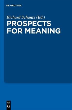 Schantz | Prospects for Meaning | Buch | 978-3-11-019623-8 | sack.de