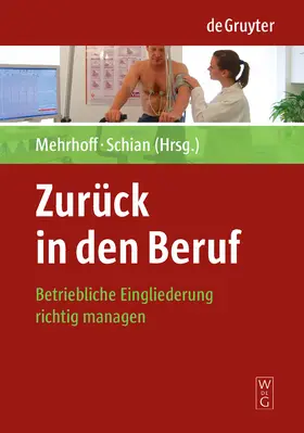 Schian / Mehrhoff | Zurück in den Beruf | Buch | 978-3-11-020231-1 | sack.de
