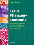 Evert / Langenfeld-Heyser |  Esaus Pflanzenanatomie | Buch |  Sack Fachmedien