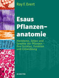 Evert / Langenfeld-Heyser |  Esaus Pflanzenanatomie | eBook | Sack Fachmedien