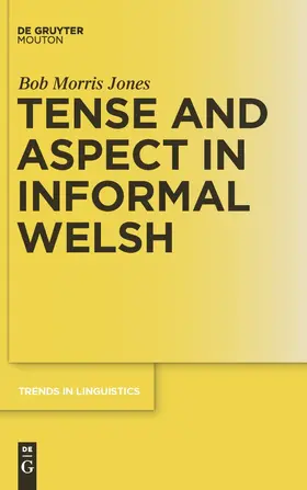 Jones | Tense and Aspect in Informal Welsh | Buch | 978-3-11-022796-3 | sack.de