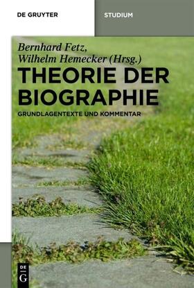 Hemecker / Fetz | Theorie der Biographie | Buch | 978-3-11-023762-7 | sack.de