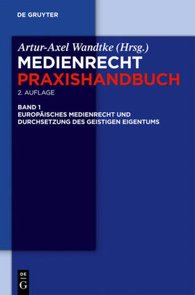 Wandtke / Castendyk / Fock | Europäisches Medienrecht und Durchsetzung des geistigen Eigentums | Buch | 978-3-11-024866-1 | sack.de