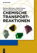 Binnewies / Glaum / Schmidt |  Chemische Transportreaktionen | eBook | Sack Fachmedien