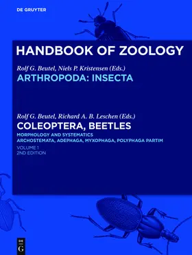 Beutel / Leschen | Coleoptera, Beetles. Morphology and Systematics | Buch | 978-3-11-024906-4 | sack.de
